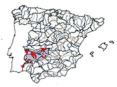 Anaecypris hispanica_mapas.jpg
